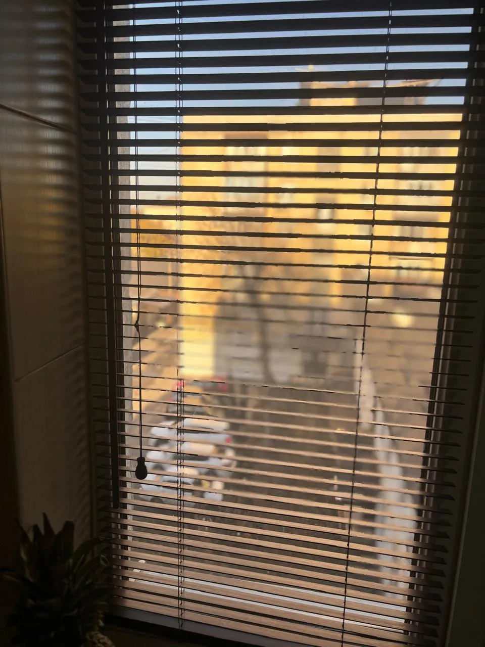 Горизонтальные жалюзи 3 в Нальчике и КБР на заказ