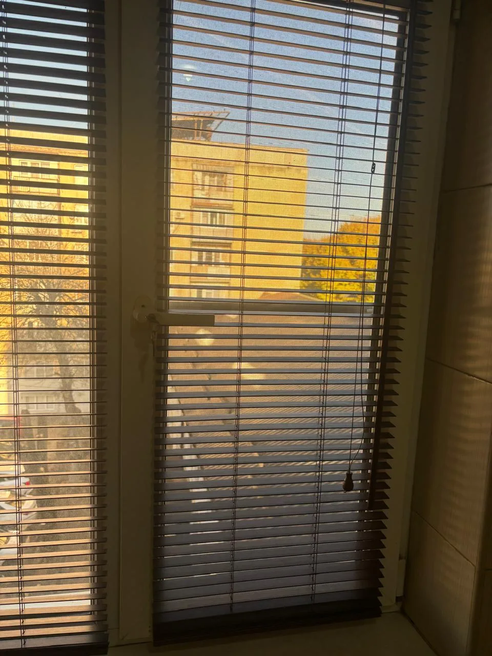 Горизонтальные жалюзи 4 в Нальчике и КБР на заказ