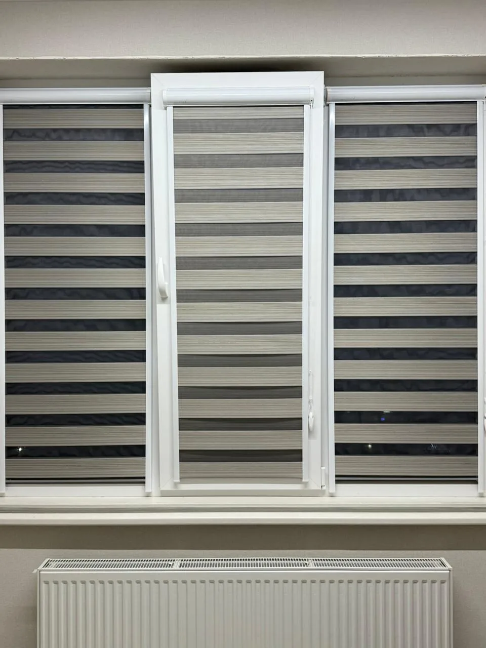 Рулонные шторы зебра день-ночь 19 в Нальчике и КБР на заказ